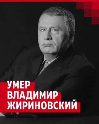 Как ЛДПР стала бизнесом семьи Жириновского и Лебедева • Проект.