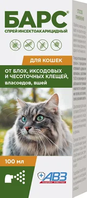 Власоеды у кошек - симптомы и лечение - Рамблер/новости