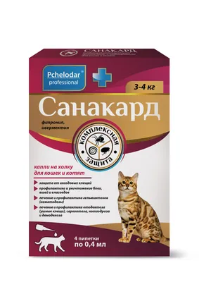 БАРС спрей инсектоакарицидный для кошек от блох и клещей, 100 мл - купить с  доставкой по выгодным ценам в интернет-магазине OZON (1230116018)