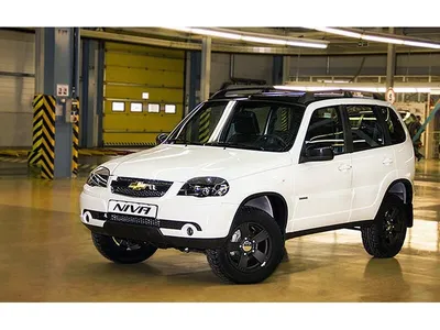 Промежуточный этап доводки машины под себя.Внешний вид. — Chevrolet Niva,  1,7 л, 2007 года | тюнинг | DRIVE2