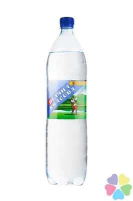 Упаковка минеральной газированной воды Поляна Квасова 1.5 л х 6 бутылок  (4820001830071) – отзывы покупателей | ROZETKA