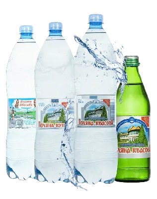 Купити Вода мінеральна сильногазована 1,5 л Поляна Квасова 8 в Kropiva.shop