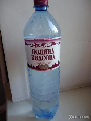 Купить Минеральную газированную воду Поляна купель 0,5 л в Києве с  доставкой | Aktiva.ua