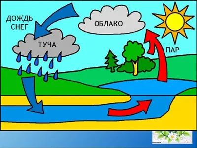 Плакат — Круговорот воды в природе | Чудесные Странички