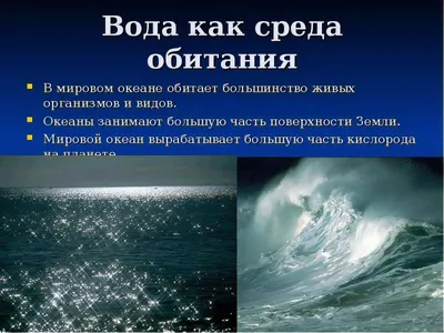 Круговорот воды в природе для детей. Познавательный рассказ