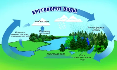 Плакат \"Круговорот воды в природе\" А2 (1258742) - Купить по цене от 35.20  руб. | Интернет магазин SIMA-LAND.RU