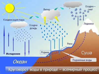 Круговорот воды в природе. Физика 7 класс. | Накагава Иван | Дзен