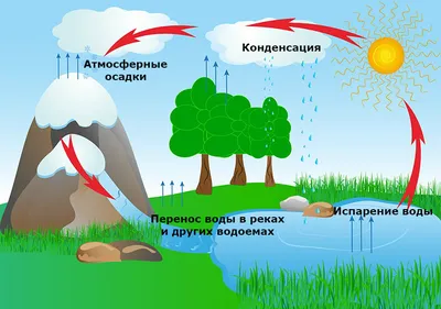 Фото «Модель «Круговорот воды в природе» (1 фото). Воспитателям детских  садов, школьным учителям и педагогам - Маам.ру