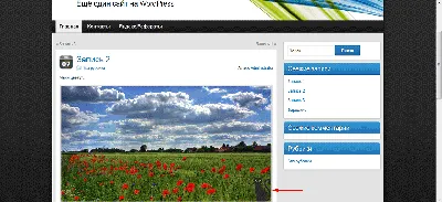 Водяные знаки для WordPress - беспплатные watermark плагины