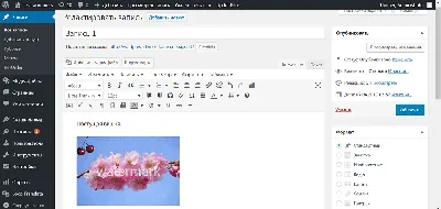 Водяные знаки для WordPress - беспплатные watermark плагины