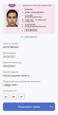 Как получить водительское удостоверение? Советы и инструкции для получения  водительских прав