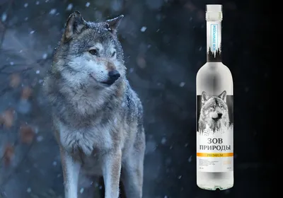 А это вам подарочный Тамбовский волк... | Instagram