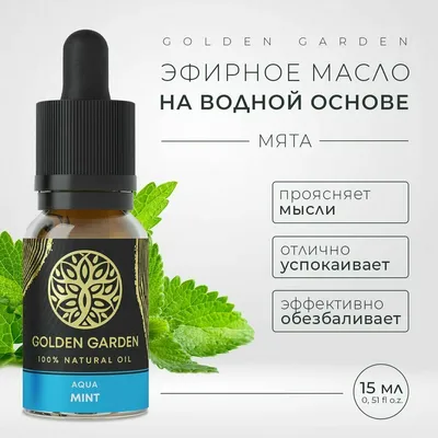 Мята водная Марокканиш Минце (mentha aquatica) 🌿 обзор: как сажать,  рассада мяты Марокканиш Минце - YouTube