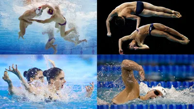 Водное поло для женщин: видео под водой, чемпионат России | Vtrenirovke.ru  - Все о домашних | Дзен