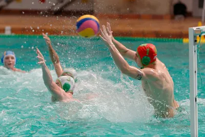Игра водное поло: мужская и женская версии | Спортивное ОбоРЗениЕ | Дзен