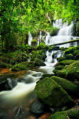 Водопад в лесу фото фото
