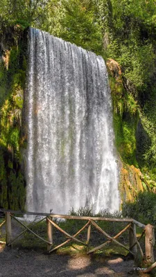 Водопад в лесу / Этот водопад, предыдущие фотографии порогов и последующие  фотографии сняты в лесу, сохранившим девственную природу: река Пьедра  («Каменная»), водопады, пороги, пруды, маленькие озера, гроты между скалами  и многое другое