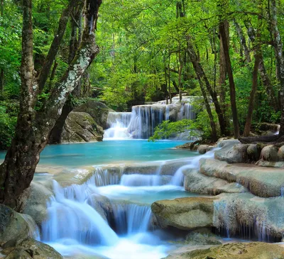 Фотообои Пороги водопада в лесу Nru54260 купить на заказ в интернет-магазине