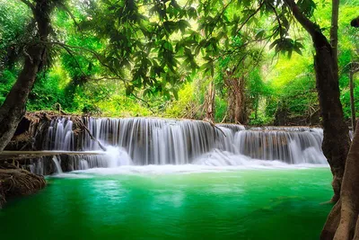 Водопад в лесу\". Фотообои. Модульные картины. Стеклянные панели. Купить.