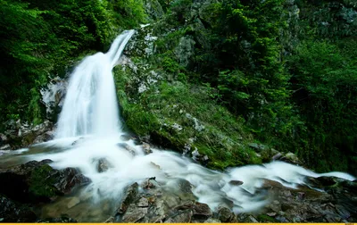 Красивый маленький водопад в лесу стоковое фото ©Southtownboy 149876324