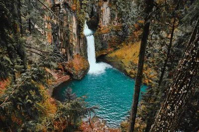 покадровая фотография водопада в лесу · Бесплатные стоковые фото