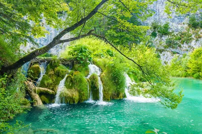 Фотообои Водопад в лесу Луангпхабанг Лаос купить в Москве, Арт. 9-891 в  интернет-магазине, цены в Мастерфресок