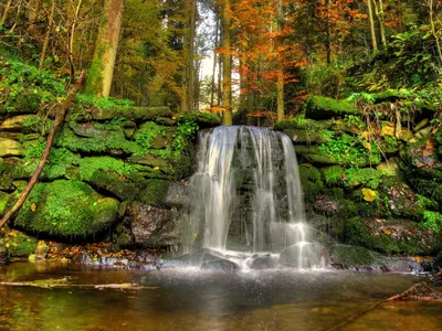Водопад В Лесу Изобилие Природы — стоковые фотографии и другие картинки Без  людей - Без людей, Величественный, Весна - iStock