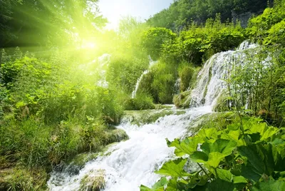 Горный водопад в лесу