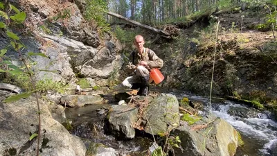 Небольшой водопад в лесу - красивые фото