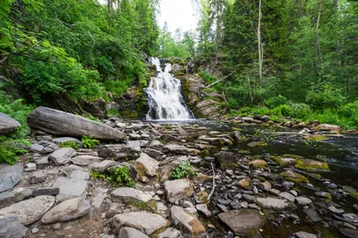 Водопад в лесу на зеленом фоне | Премиум Фото