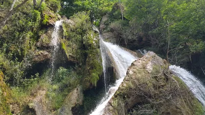 Экскурсия по Крыму «Авторский маршрут Виктории Строгановой : сосна Палласа  + водопад Учан-Су, тисовая роща, черепашье озеро, источник Св.Пантелеймона,  скала Шишко 11.11.23» на 10 часов | «Спарта Крым»