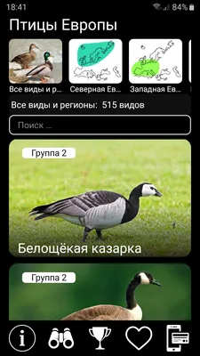 Врачи показали, какую болезнь можно подцепить от водоемов с утками. Читайте  на UKR.NET