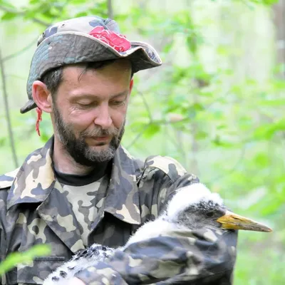 Крылатые рекорды. 7 примечательных птиц, живущих на реках Украины - ФОКУС