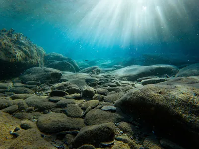 После подрыва Каховской ГЭС Черное море сильно \"зацвело\": чем это опасно -  Газета МИГ