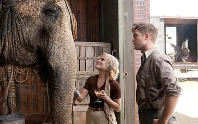 Фильм «Воды слонам!» / Water for Elephants (2011) — трейлеры, дата выхода |  КГ-Портал