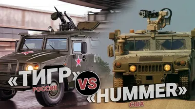 Тигр» vs «Hummer». Кто кого? | Пикабу
