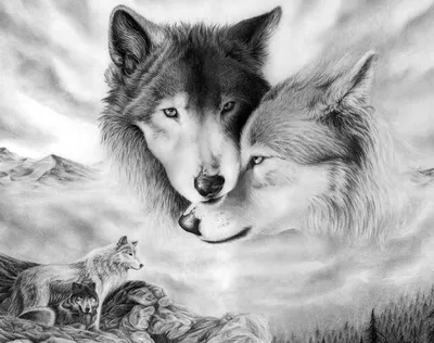 Волчья Любовь Фото фото