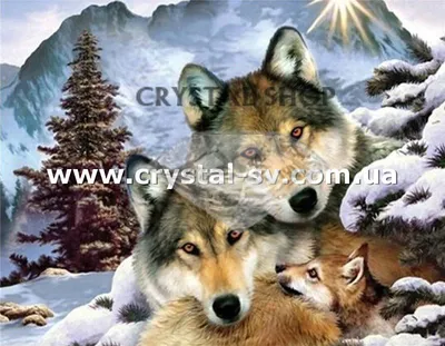 Волчья семья» — создано в Шедевруме