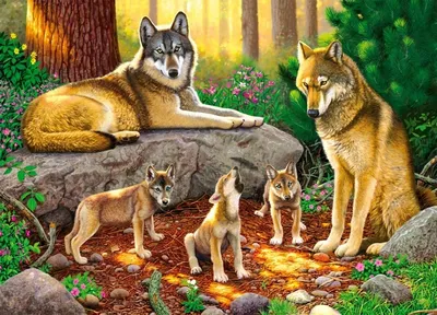 Купить Картины по номерам 40х50 «Волчья семья» по привлекательной цене во  Владивостоке