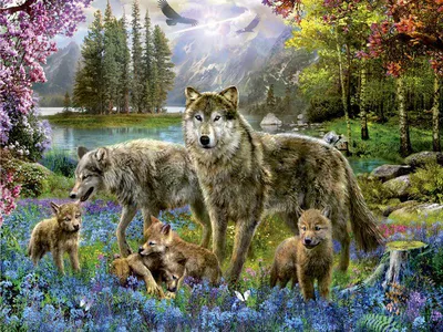 Онлайн пазл «Волчья семья»