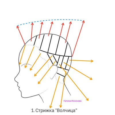 Стрижка без укладки, которая создаст объем: бабочка