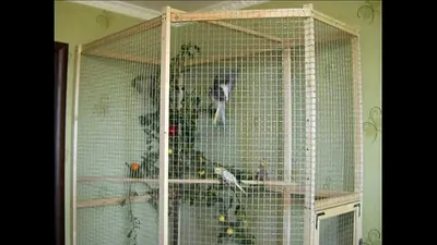 Вольер для попугаев своими руками фото фото