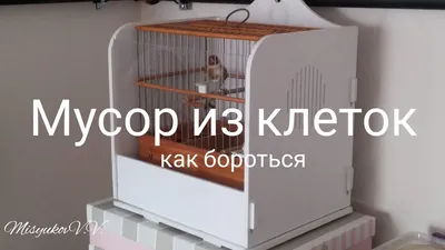 мой новый вольер своими руками - Клетки. Вольеры - Форумы Mybirds.ru - все  о птицах