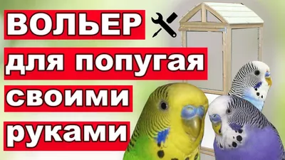 Увеличение клетки для попугаев своими руками - Стр. 3 - Форумы о попугаях