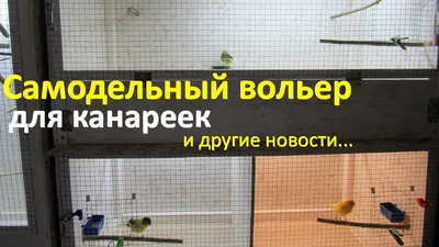 Большие вольеры-клетки для птиц - купить в интернет-магазине zveryatam.ru