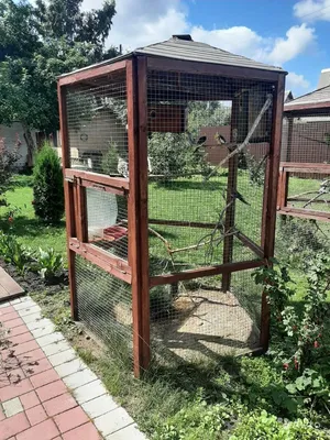 Балконная вольера - Клетки, инвентарь и оборудование для певчих птиц -  Форумы Mybirds.ru - все о птицах