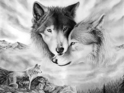 Красивые рисунки волков - 78 фото