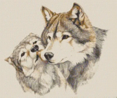 Lora on X: \"Влюблённый волк- уже не хищник! Он за волчицу всех порвёт!  Волчица, преданная волку, очаг семейный сбережет, А волк любовь до самой  смерти с любимой вместе пронесёт... https://t.co/SgAkd9BTdz\" / X