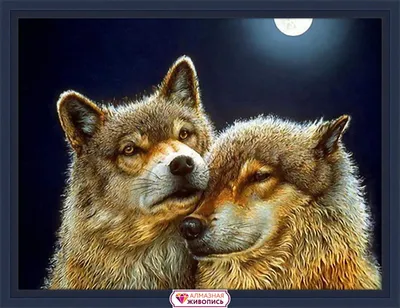 Мужской свитшот Любовь: волк и волчица (Волки) за 2899 ₽ на заказ с принтом  надписью купить в Print Bar (VLF-115203) ✌