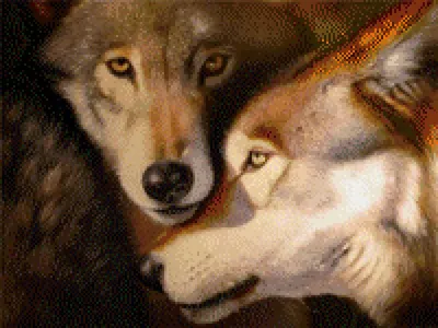 Создать мем \"волк, два волка, волк и волчица\" - Картинки - Meme-arsenal.com